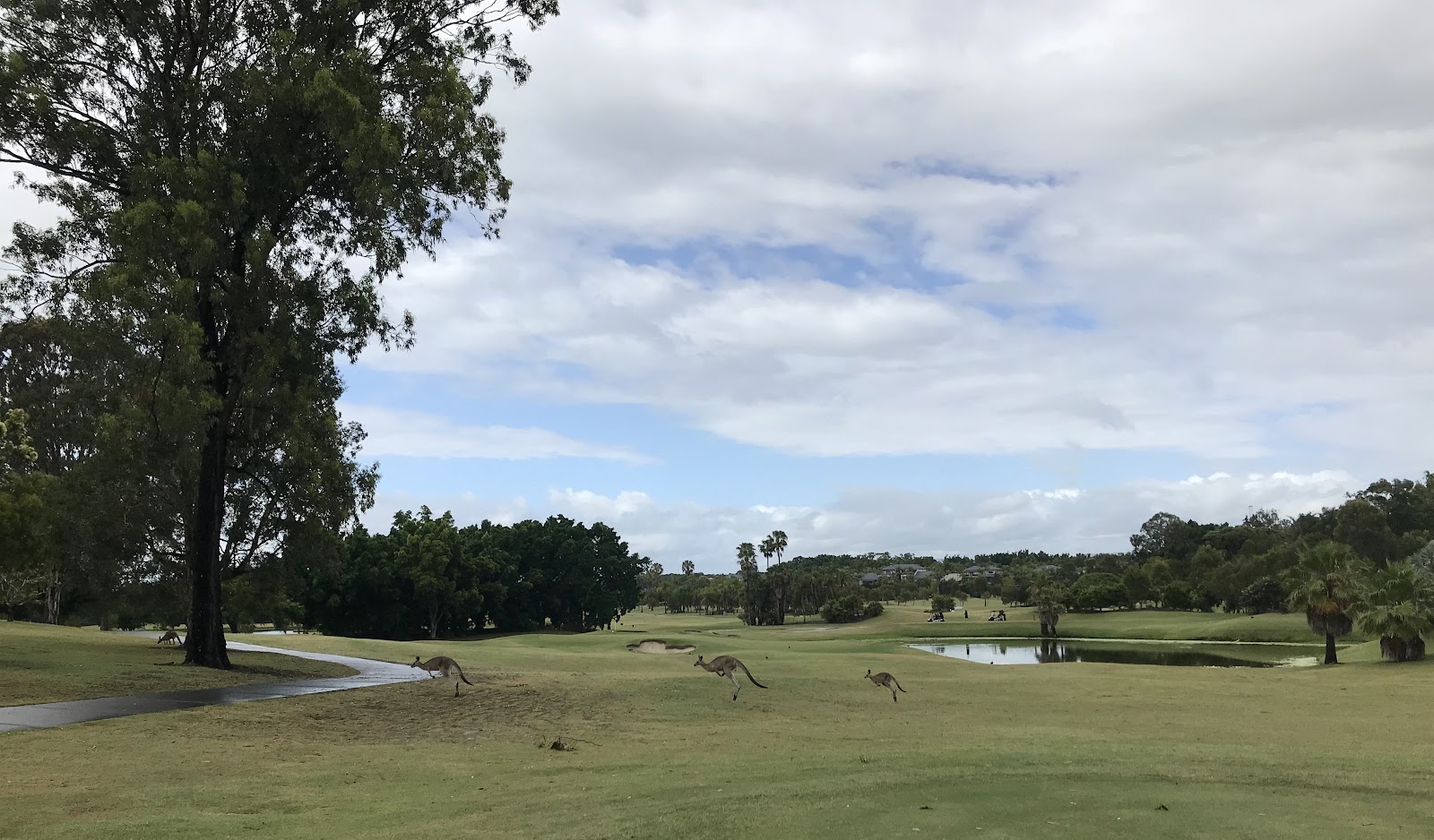 Sanctuary Cove · The Palms